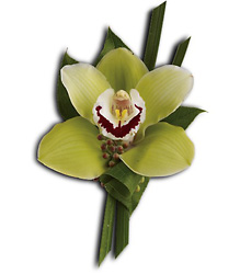 Orchid Boutonniere from Arjuna Florist in Brockport, NY